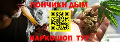 индика Ипатово