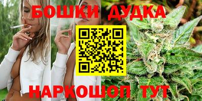 индика Ипатово