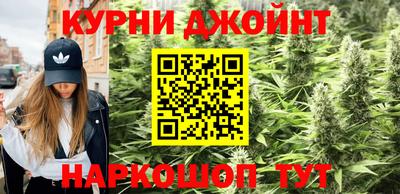индика Ипатово