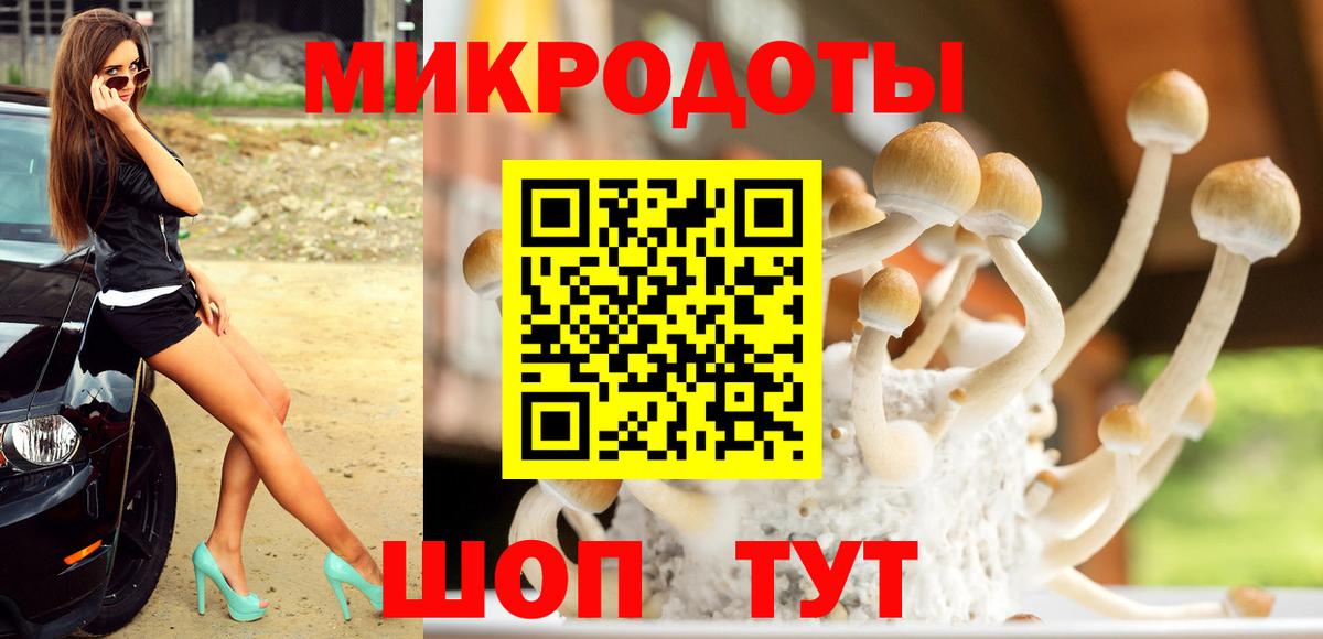 Галлюциногенные грибы мицелий  Вход с VPN  Мытищи  Псилоцибиновые грибы прущие грибы 