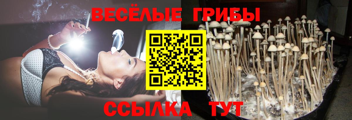 Галлюциногенные грибы прущие грибы Мытищи